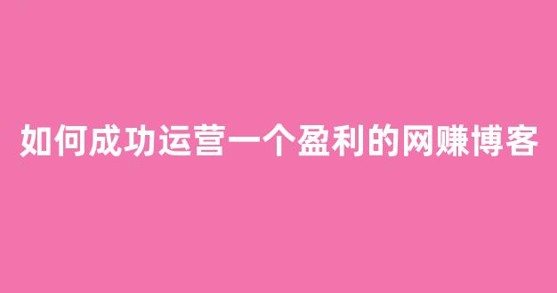 如何成功运营一个盈利的网赚博客 - 严选资源大全