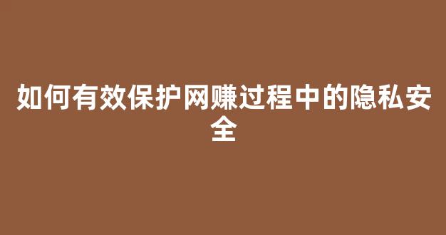 如何有效保护网赚过程中的隐私安全 - 严选资源大全