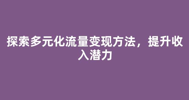 探索多元化流量变现方法，提升收入潜力 - 严选资源大全