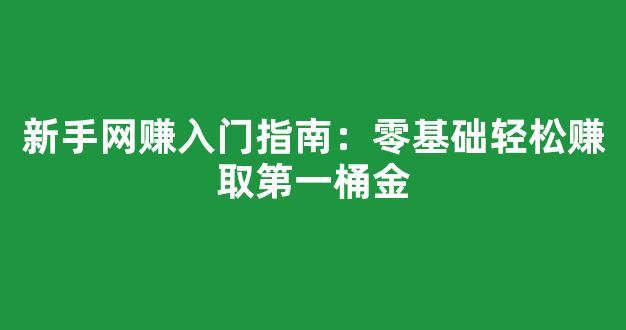 新手网赚入门指南：零基础轻松赚取第一桶金 - 严选资源大全