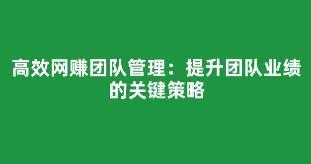 高效网赚团队管理：提升团队业绩的关键策略 - 严选资源大全