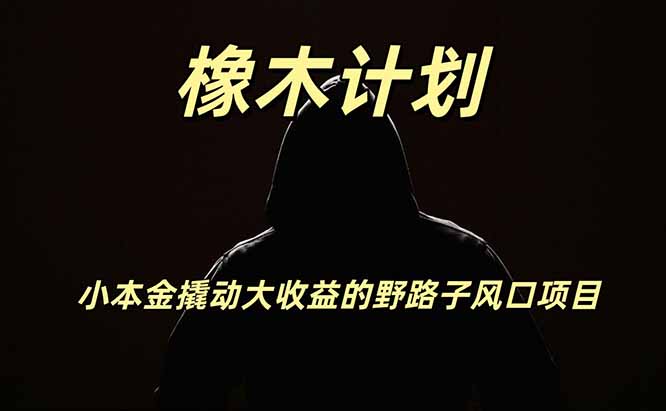 橡木计划,小投入撬动高回报的风口野路子项目,一天投入2小时左右 - 严选资源大全
