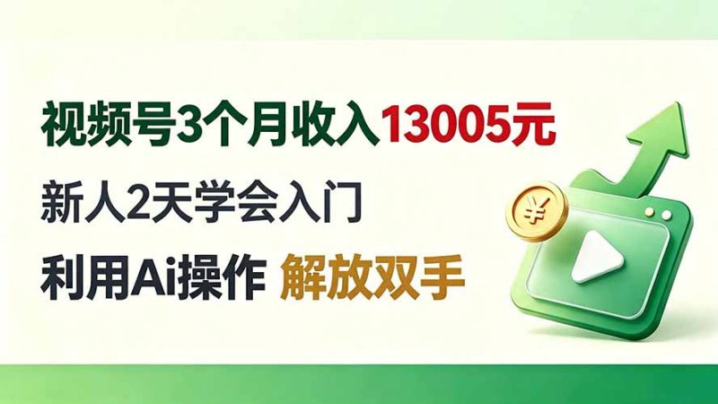视频号3个月收入13005元， 新人2天学会入门， 利用Ai操作 解放双手！ - 严选资源大全 - 严选资源大全