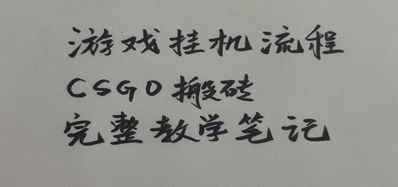 游戏挂机全流程笔记分享,CSGO游戏搬砖,小白看了当天学会见收益 - 严选资源大全 - 严选资源大全