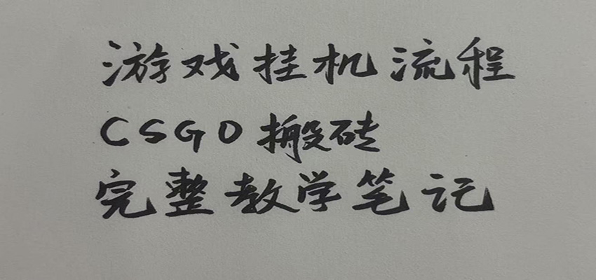 游戏挂机全流程笔记分享，CSGO游戏搬砖，小白看了当天学会见收益 - 严选资源大全