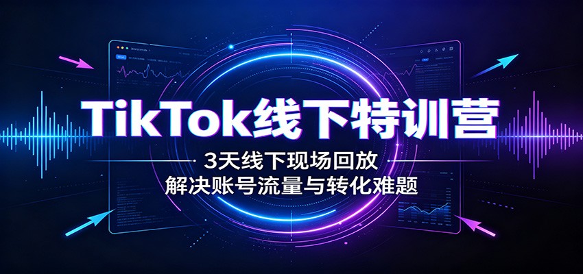 TikTok线下特训营：3天线下现场回放，解决账号流量与转化难题 - 严选资源大全