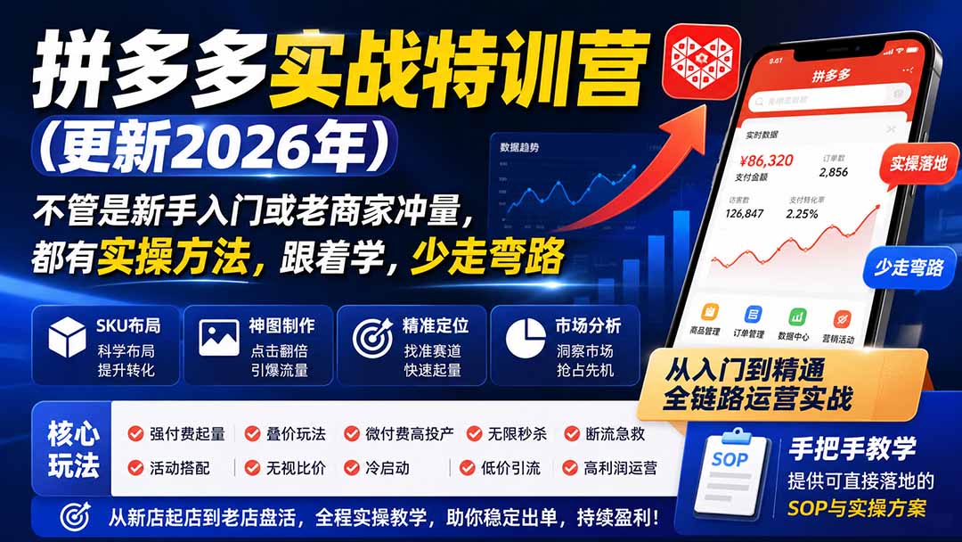 拼多多实战特训营(更新26年0822 - 严选资源大全