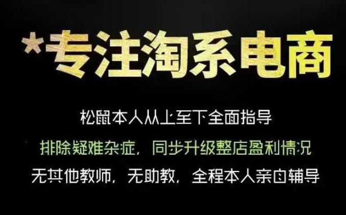 松鼠会电商VIP课程，从基础布局到高阶优化，助你掌握淘宝运营逻辑，提升店铺流量与转化(更新0823) - 严选资源大全