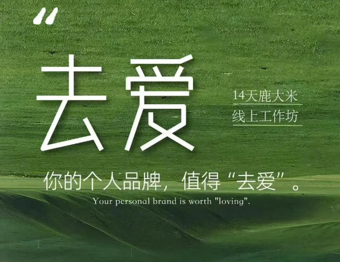 去爱14天鹿大米线上工作坊，你的个人品牌，值得“去爱” - 严选资源大全