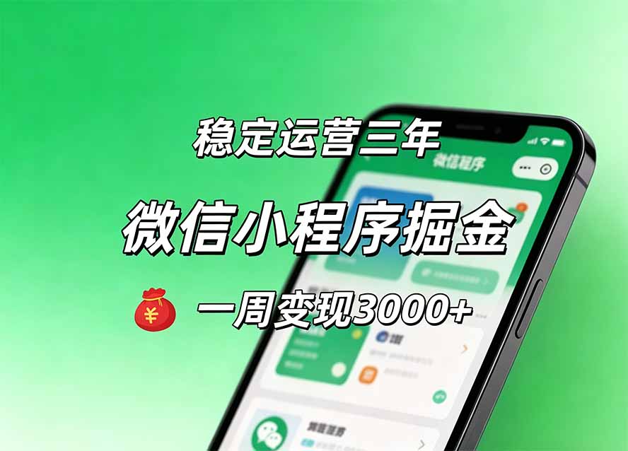 月收益稳定1W+的微信小程序，前期积累客户，后期躺平养老，小白轻松上手 - 严选资源大全