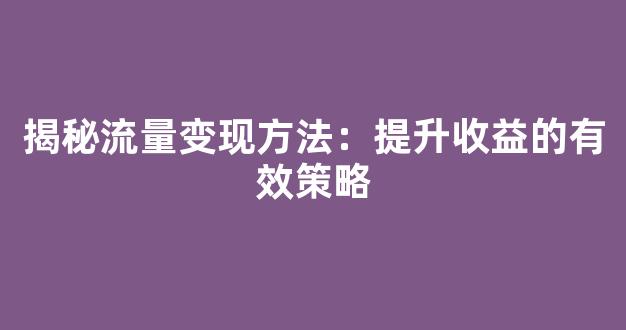 揭秘流量变现方法：提升收益的有效策略 - 严选资源大全