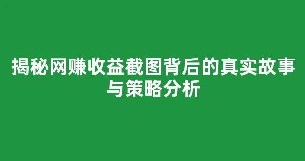 揭秘网赚收益截图背后的真实故事与策略分析 揭秘网赚收益截图背后的真实故事与策略分析