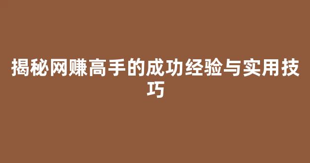 揭秘网赚高手的成功经验与实用技巧 - 严选资源大全