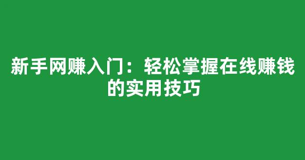 新手网赚入门：轻松掌握在线赚钱的实用技巧 - 严选资源大全