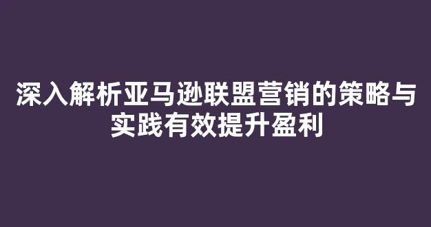 深入解析亚马逊联盟营销的策略与实践有效提升盈利 - 严选资源大全