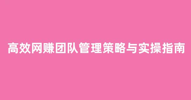 高效网赚团队管理策略与实操指南 - 严选资源大全