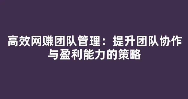 高效网赚团队管理：提升团队协作与盈利能力的策略 - 严选资源大全