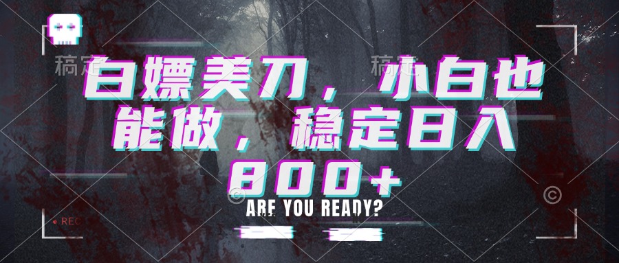 白嫖美刀,小白也能做,稳定日入800+ - 严选资源大全