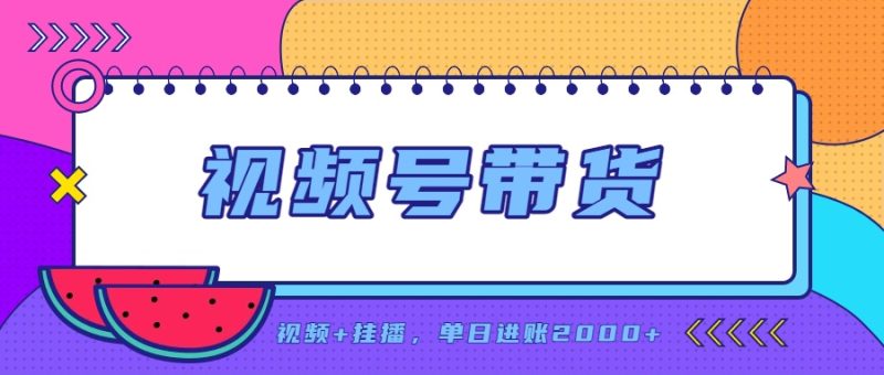 日入2000+的副业,视频号带货,一部手机改写人生篇章,无需投资 - 严选资源大全 - 严选资源大全
