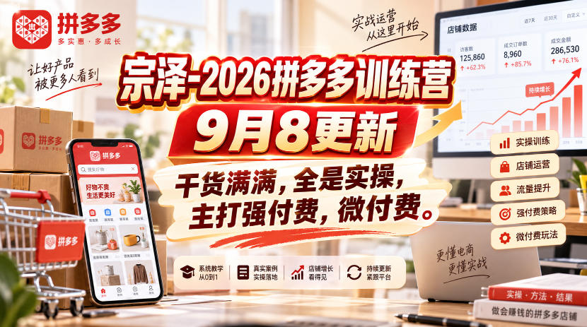 宗泽-2026拼多多训练营9月8更新,干货满满,全是实操,主打强付费,微付费 - 严选资源大全