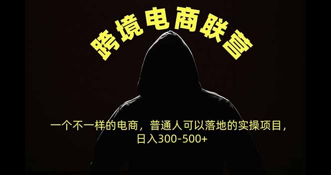 跨境电商联营,一个不一样的电商,普通人可操作日入300-500+ - 严选资源大全