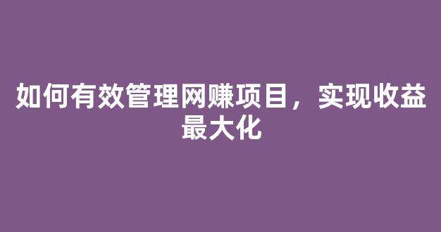 如何有效管理网赚项目，实现收益最大化 - 严选资源大全