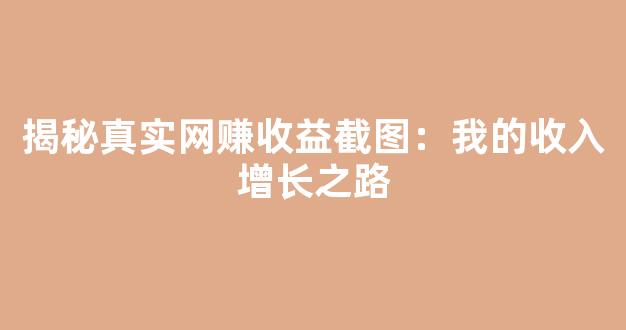 揭秘真实网赚收益截图：我的收入增长之路 - 严选资源大全