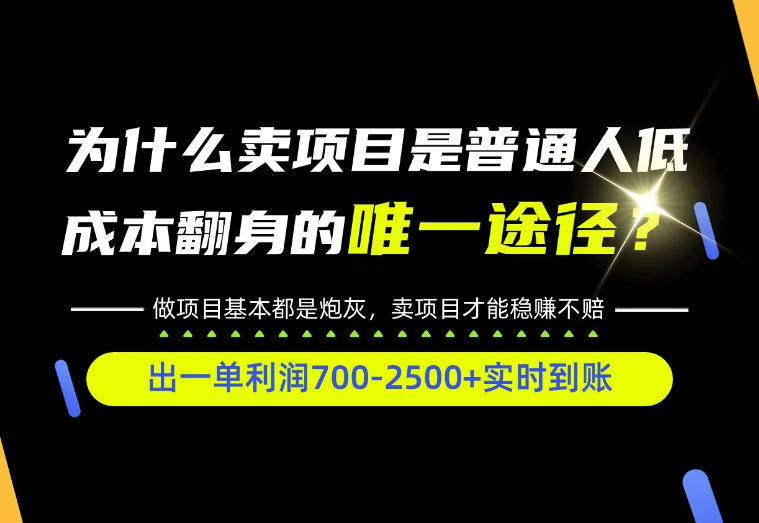 普通人如何靠互联网賺取自己的第一桶金!全类目实操型教学,看完你全都懂了!【揭秘】 - 严选资源大全