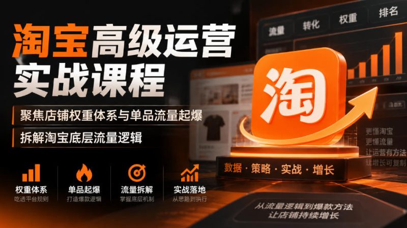淘宝高级运营实战课程,聚焦店铺权重体系与单品流量起爆,拆解淘宝底层流量逻辑 - 严选资源大全 - 严选资源大全
