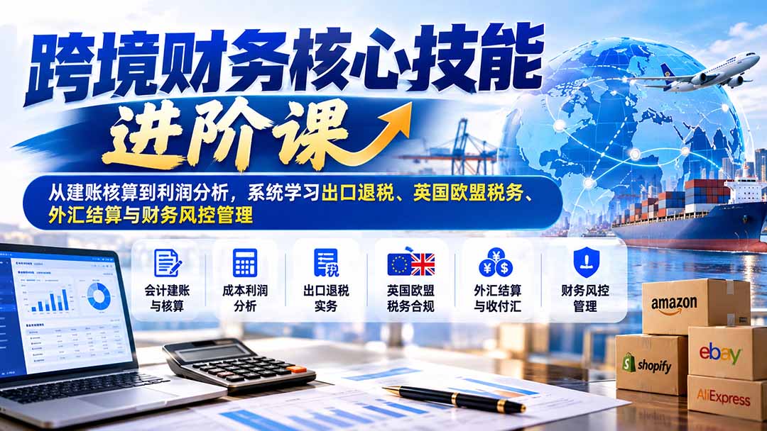 跨境财务核心技能进阶课：从建账核算到利润分析，系统学习出口退税、英国欧盟税务、外汇结算与财务风控管理 - 严选资源大全