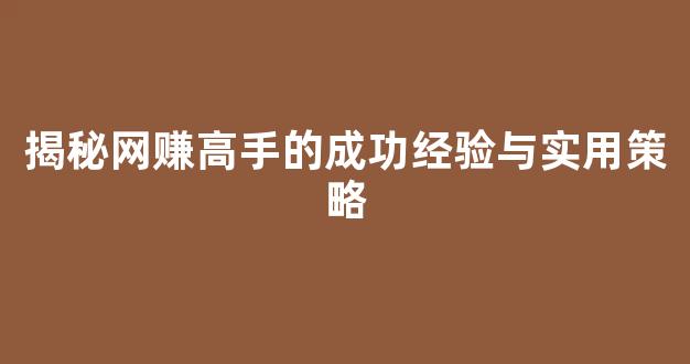 揭秘网赚高手的成功经验与实用策略 - 严选资源大全